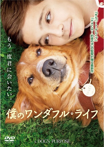 『僕のワンダフル・ライフ 』アーラ・キネマ倶楽部