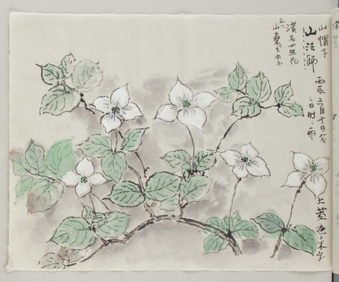 【荒川豊蔵資料館】収蔵品展「絵筆の花にそえて